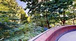 301 1888 Alberni Street