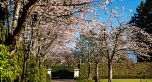 4778 Drummond Drive