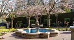 4778 Drummond Drive