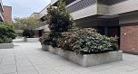 201 444 W 49th Avenue