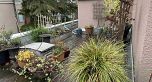 203 1878 Robson Street
