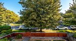 6465 St. Catherines Street