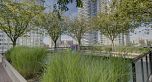 1303 938 Smithe Street