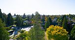 212 4240 Cambie Street