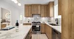 1155 Renfrew Street