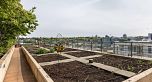 1606 288 W 1st Avenue