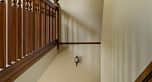 1 3838 Cypress Street