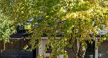 4804 Elgin Street