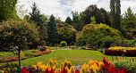 203 4932 Cambie Street