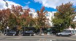 215 3727 W 10th Avenue
