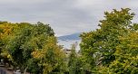 305 2430 Point Grey Road