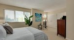 4035 Springtree Drive