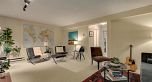 4035 Springtree Drive