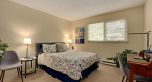 4035 Springtree Drive