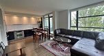 313 740 W 12 AVENUE, Vancouver BC V5Z 0A3