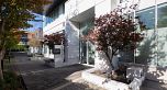 907 6383 Cambie Street