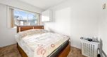 204 3136 Kingsway