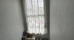 6341 Beatrice Street