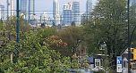 549 Renfrew Street