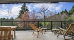 2236 Yewbrook Place