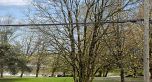2056 E 13th Avenue