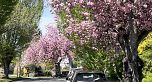 2750 Rosemont Drive