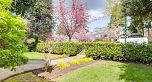 3436 W 37th Avenue