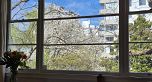 303 1565 Burnaby Street