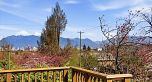 706 W 24th Avenue