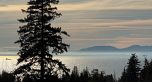 11F 6138 BIRNEY AVENUE, Vancouver BC V6S 0N1