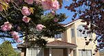 8110 Osler Street