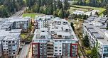 Ph8 3581 Ross Drive