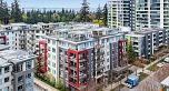 Ph8 3581 Ross Drive