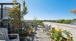 321 2556 E Hastings Street