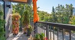 321 2520 Guelph Street