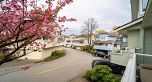 227 Waterleigh Drive
