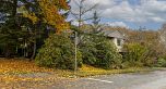 3555 Quadra Street