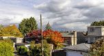3555 Quadra Street