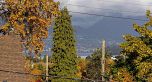 3555 Quadra Street