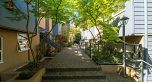 3033 Laurel Street