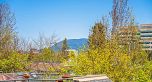 3033 Laurel Street