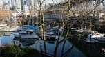 302 1502 Island Park Walk