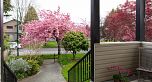 111 E 61st Avenue