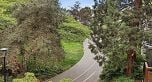 49 1425 Lamey's Mill Road
