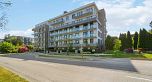 310 6859 Cambie Street