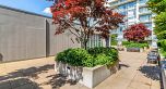 1107 4815 Eldorado Mews