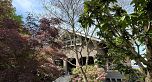 1971 W 36th Avenue