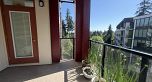 417 3581 Ross Drive