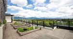 307 4488 Cambie Street