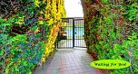 5275 Granville Street